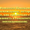 Фамилия Новиков: происхождение, история и значение, как правильно склонять и использовать в генеалогических исследованиях.