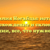 Фамилия Ногайцы: история, происхождение и склонение фамилии, все, что нужно знать