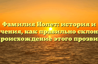 Фамилия Нолет: история и значения, как правильно склонять и происхождение этого прозвища