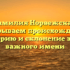 Фамилия Норвежская: раскрываем происхождение, историю и склонение этого важного имени
