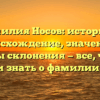 Фамилия Носов: история и происхождение, значения и формы склонения — все, что вы хотели знать о фамилии Носов.