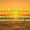 Фамилия Огибалов: история происхождения, значения и правильное склонение – генеалогический обзор