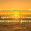 Фамилия Олиу: история, происхождение и значения, а также правильное склонение и интересные факты