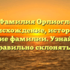 «Фамилия Орлиогло: происхождение, история и значение фамилии. Узнайте как правильно склонять!»