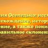 Фамилия Оселедько: исследуем происхождение, историю и значение, а также понимаем правильное склонение