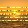 Фамилия Осипкина: история, происхождение и значения, советы по склонению для успешного использования в повседневной жизни