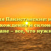 Фамилия Пакистанские: история, происхождение и склонение в Пакистане — все, что нужно знать