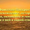 Фамилия Панкрат: происхождение, история и значение, склонение и генеалогия — все о ней в одной статье!