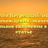 Фамилия Петрицкий: история происхождения, значение и правильное склонение в одной статье