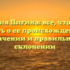 Фамилия Пигина: все, что нужно знать о ее происхождении, значении и правильном склонении