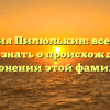 Фамилия Пилюлькин: все, что вы хотели знать о происхождении и склонении этой фамилии
