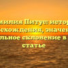 Фамилия Питус: история происхождения, значение и правильное склонение в одной статье