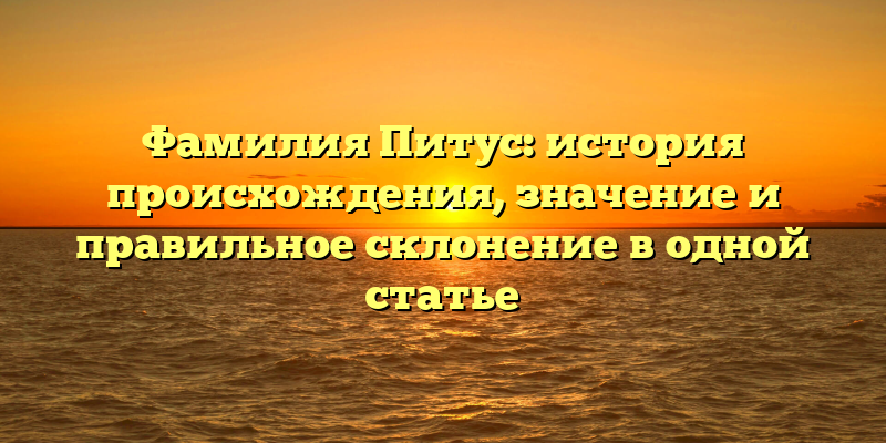 Фамилия Питус: история происхождения, значение и правильное склонение в одной статье