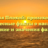 Фамилия Плохой: происхождение и интересные факты о наследстве, склонение и значения фамилии