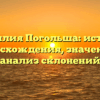 Фамилия Погольша: история происхождения, значения и анализ склонений