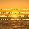 Фамилия Покиньчереда: исследуем происхождение, историю и склонение этого уникального имени