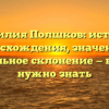 Фамилия Полшков: история происхождения, значения и правильное склонение — всё, что нужно знать