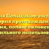 Фамилия Польшаков: интересная история происхождения и значения, полное склонение для правильного использования