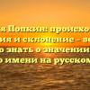 Фамилия Попкин: происхождение, история и склонение – все, что нужно знать о значении этого редкого имени на русском языке