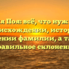 Фамилия Поя: всё, что нужно знать о происхождении, истории и значении фамилии, а также правильное склонение