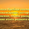 Фамилия Прейда: исследуем происхождение, историю и склонение, чтобы раскрыть значение этого редкого имени