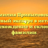 Фамилия Прибыловская: искусный экскурс в историю, происхождение и склонение фамилии