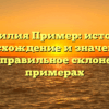 Фамилия Пример: история, происхождение и значения, а также правильное склонение на примерах