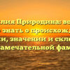 Фамилия Природина: все, что нужно знать о происхождении, истории, значении и склонении этой замечательной фамилии
