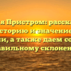 Фамилия Пристром: рассказываем про историю и значение этой фамилии, а также даем советы по правильному склонению