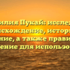 Фамилия Пукай: исследуем происхождение, историю и значение, а также правильное склонение для использования