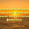 Фамилия Пулков: история, происхождение и значение. Все, что нужно знать о склонении фамилии.