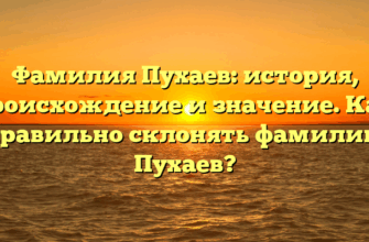 Фамилия Пухаев: история, происхождение и значение. Как правильно склонять фамилию Пухаев?