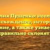 Фамилия Пушенко: исследуем происхождение, историю и значение, а также узнаем как правильно склонять