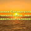 Фамилия Салаватуллина: исторический обзор, значение и правильное склонение