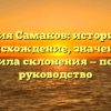 Фамилия Самаков: историческое происхождение, значение и правила склонения — полное руководство