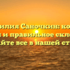 Фамилия Саночкин: корни, история и правильное склонение – узнайте все в нашей статье