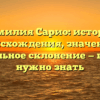 Фамилия Сарио: история происхождения, значение и правильное склонение — все, что нужно знать