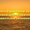 Фамилия Сарокваша: история происхождения, значение и правильное склонение