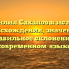 Фамилия Сахапова: история происхождения, значение и правильное склонение в современном языке