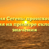 Фамилия Сегень: происхождение и история на примере склонения и значения