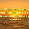 Фамилия Седо: происхождение, история и значение, а также правильное склонение в разных падежах
