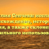 Фамилия Сенчева: исследуем происхождение, историю и значения, а также склонение для правильного использования