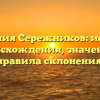Фамилия Сережников: история происхождения, значение и правила склонения.