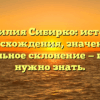 Фамилия Сибирко: история происхождения, значения и правильное склонение — все, что нужно знать.