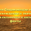 Фамилия Сидамонидзе: история происхождения и значения, правила склонения и интересные факты