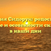 Фамилия Сидорук: родословная, значение и особенности склонения в наши дни