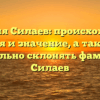 Фамилия Силаев: происхождение, история и значение, а также как правильно склонять фамилию Силаев