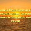 Фамилия Синяков: история происхождения, значение и правильное склонение- подробный обзор