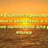 Фамилия Скалин: происхождение, история и значение, а также грамотное склонение для русского языка
