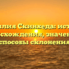 Фамилия Скинхеда: история происхождения, значение и способы склонения